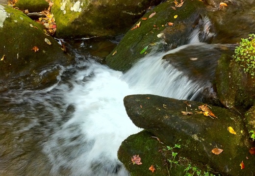 Lower Mt. Cammerer